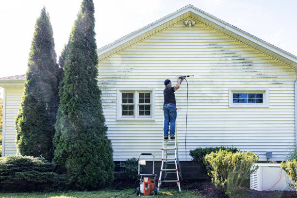 Best Building Exterior Washing  in Ann Arbor, MI